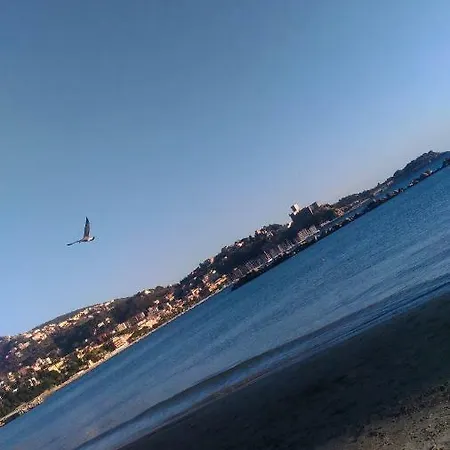 Nella Collina Del Sole