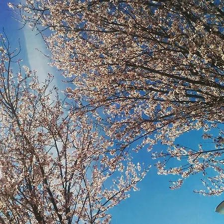 Nella Collina Del Sole Appartamento